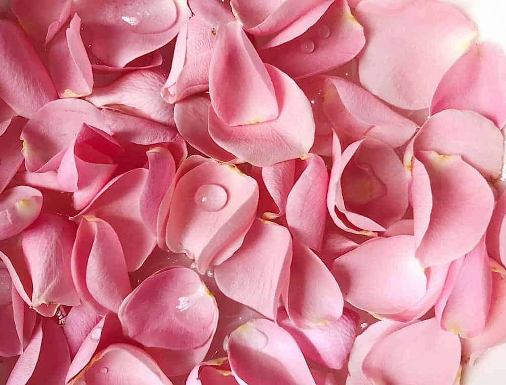 Unlock the Secret to Eternally Radiant Skin with Life Skincare’s Rose Petal Scrub!